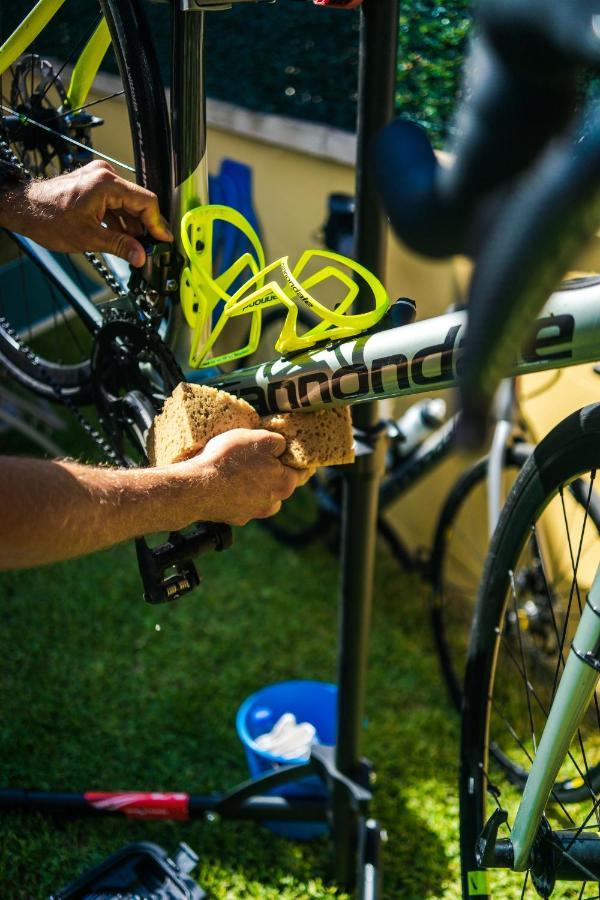 Villa Tucan Alcudia Cycling Eksteriør billede